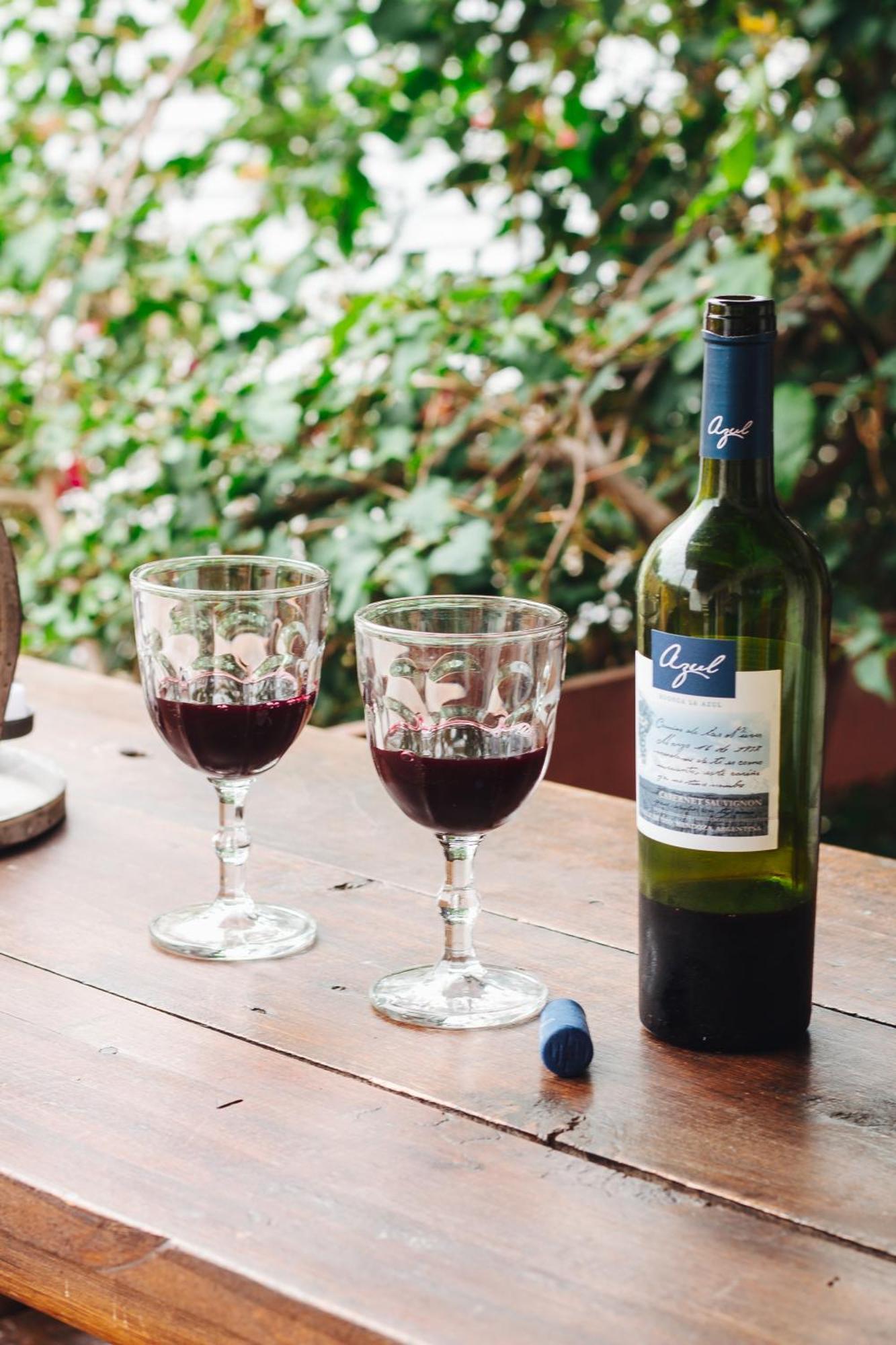Belgrano Wine Experience Daire Mendoza Dış mekan fotoğraf
