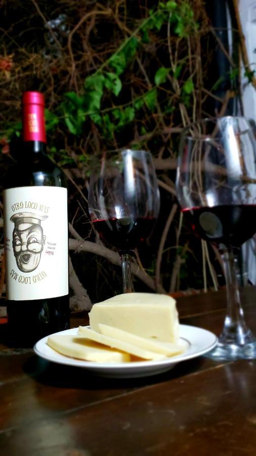 Belgrano Wine Experience Daire Mendoza Dış mekan fotoğraf